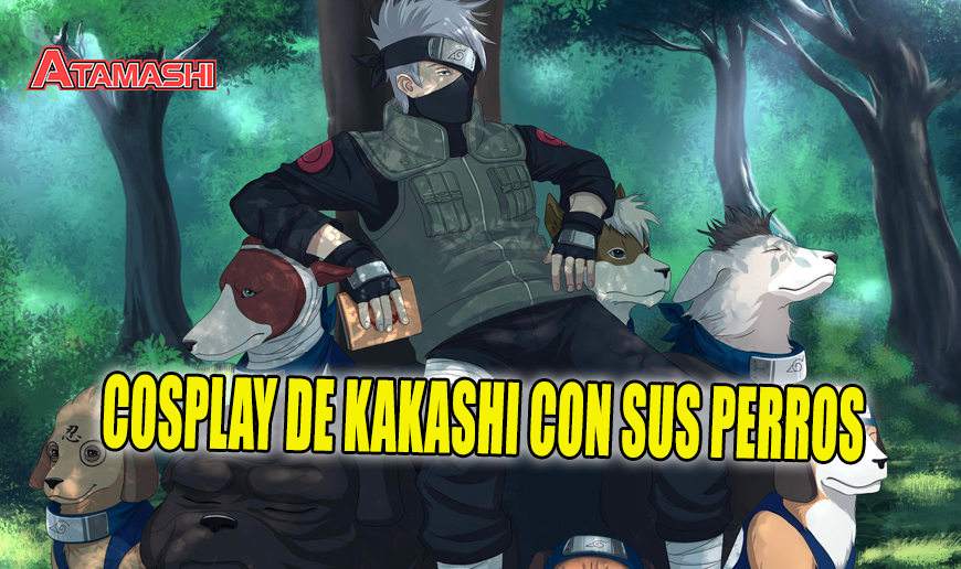 Nombre De Los Perros De Kakashi